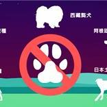 禁止取得、饲养、繁殖或进口若干品种的犬只及动物