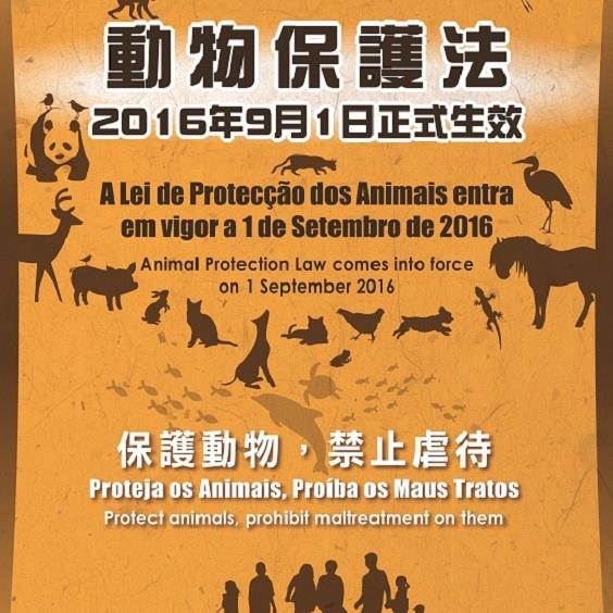 《動物保護法》2016年9月1日正式生效 
