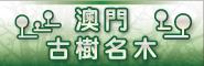 澳門古樹名木