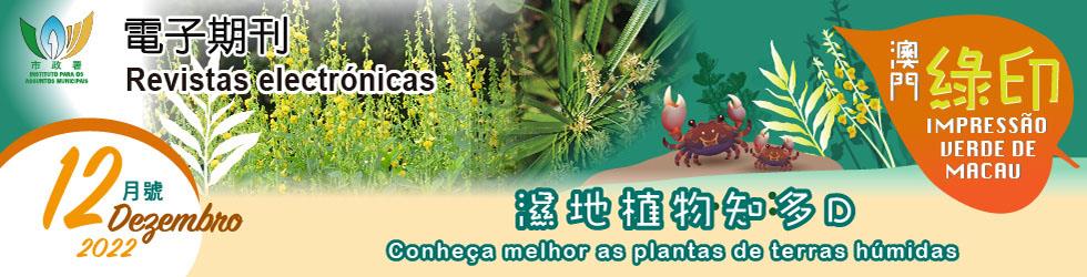 Impressão Verde de Macau Dezembro de 2022