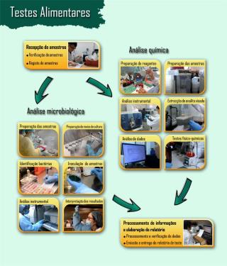 Análise dos géneros alimentícios