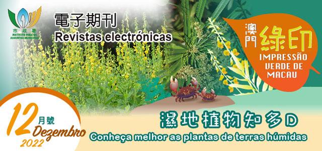 Impressão Verde de Macau Dezembro de 2022