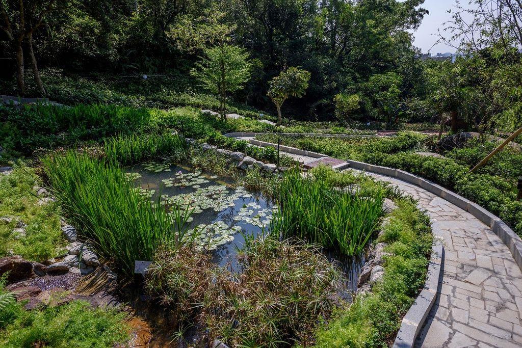 Ecological Trail Garden of Medicinal and Aromatic Plants and South China Medicinal Plants Garden