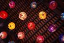 DSC08536.jpg