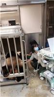 超聲波檢查