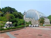澳門大熊貓館