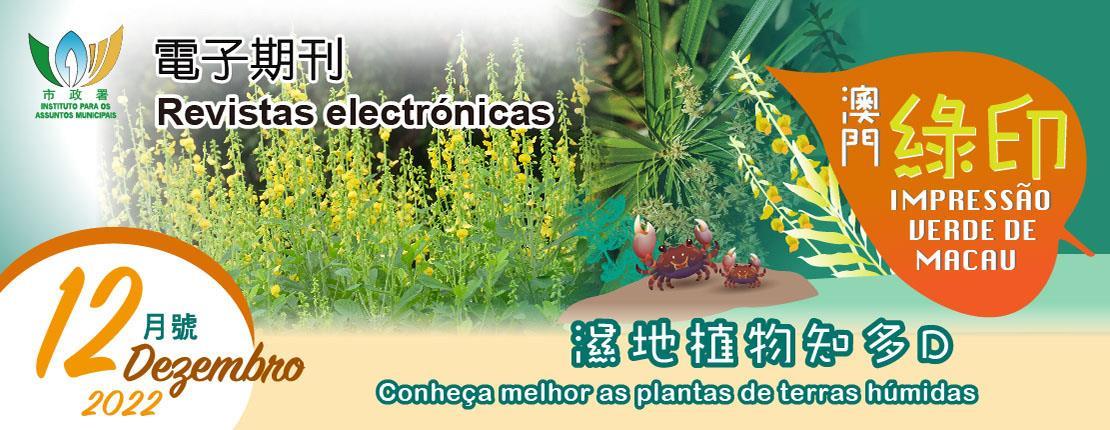 Impressão Verde de Macau Dezembro de 2022