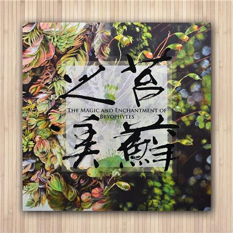 圖片
