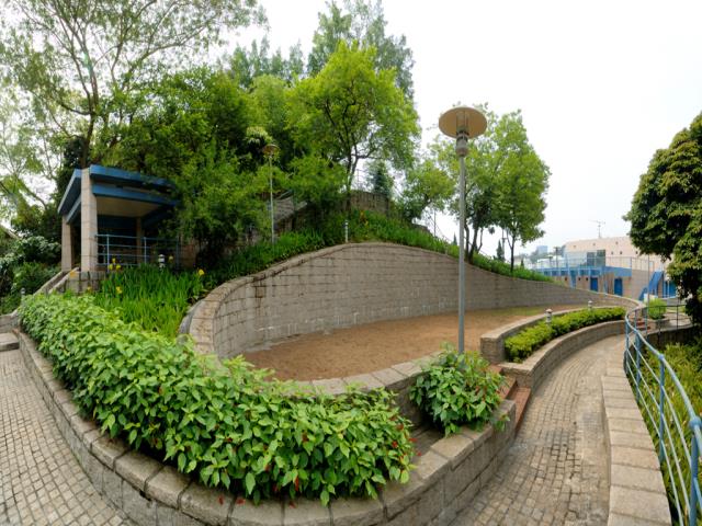 圖片