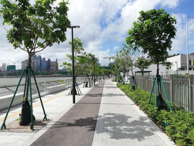 跑步徑