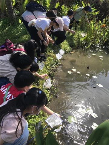 圖片