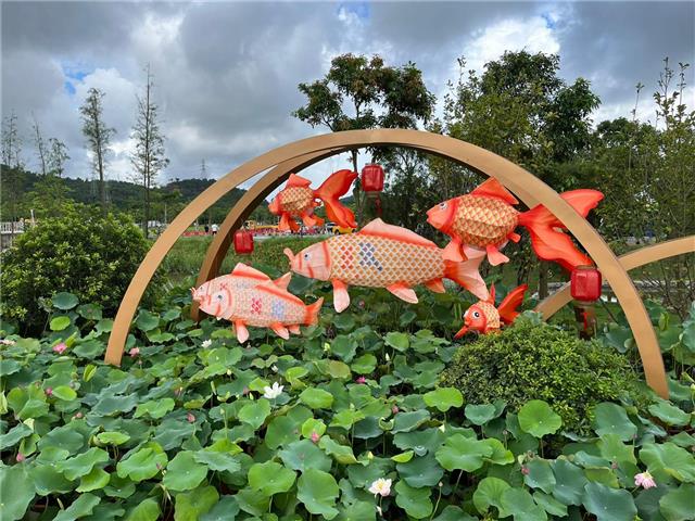 圖片