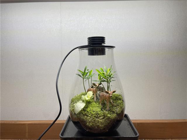 圖片